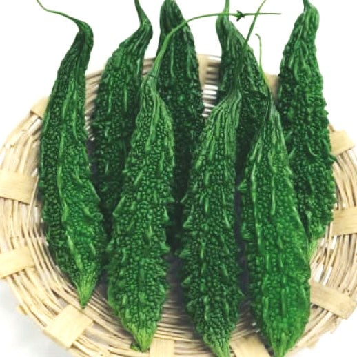 Bitter Gourd: Bahadur