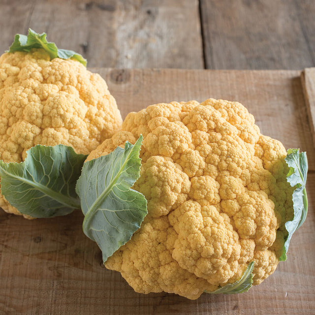 Cauliflower: Flame Star - NEW!