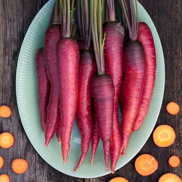 Dragon Carrot Seeds - NEW!