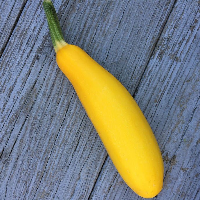 Squash: Success Yellow Squash