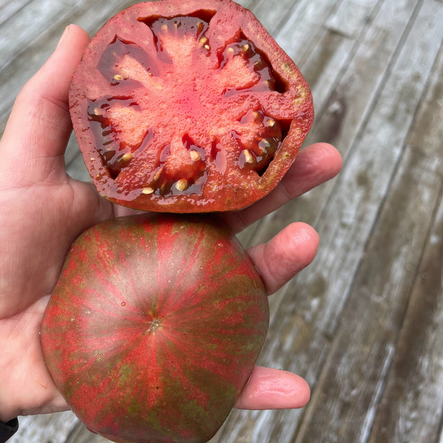 Tomato: Pink Berkeley Tie Dye