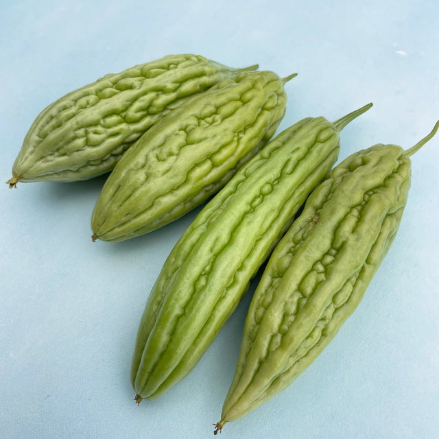 Bitter Melon: Chinese Green Skin