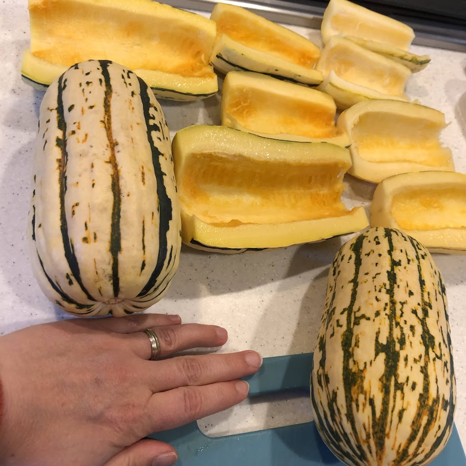 Squash: Bush Delicata