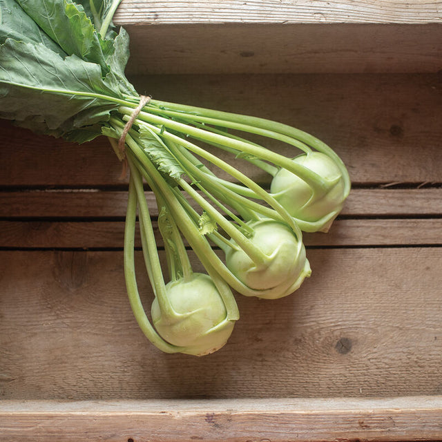 Kohlrabi: Konan - NEW!