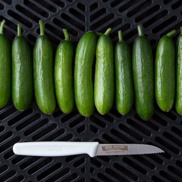 Cucumber: Minime - NEW!