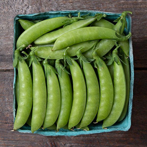 Sweet Gem Sugar Snap Pea Seeds - NEW!
