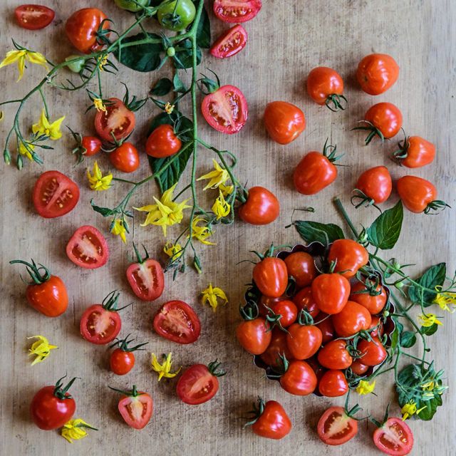 Tomato: Sweetheart Cherry - NEW!