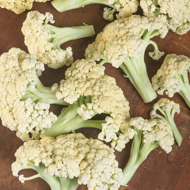 Cauliflower: Song