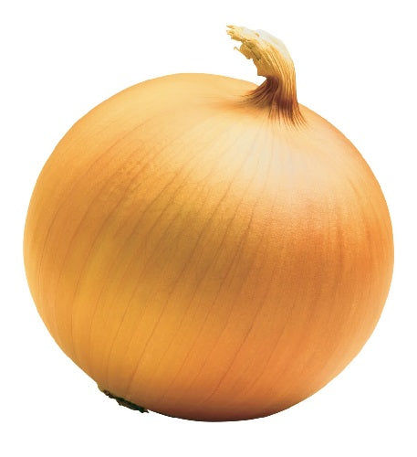 Onion: New York Early
