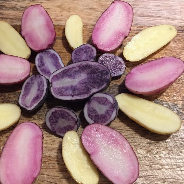 Potato: Fingerling Assortment - 2 lb