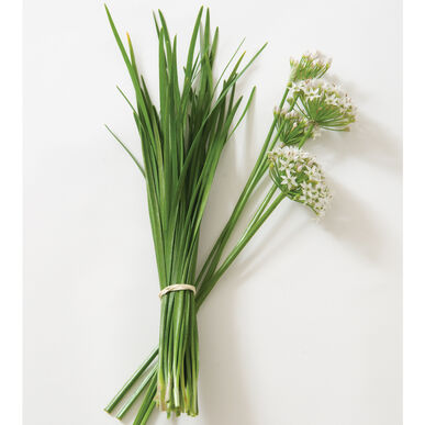 Chives: Garlic