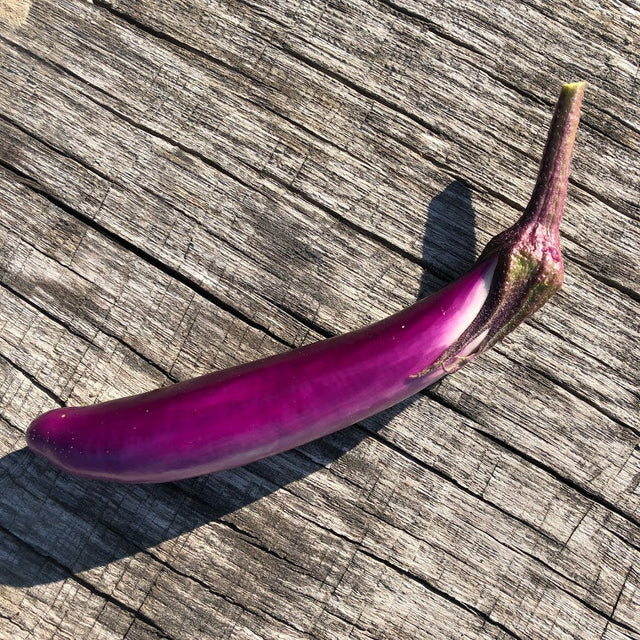 Eggplant: Pingtung Long