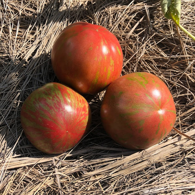 Tomato: Pink Boar