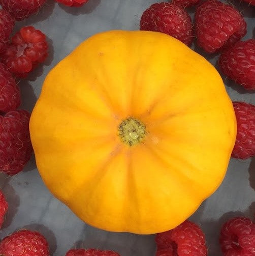 Pumpkin: Jack Be Little