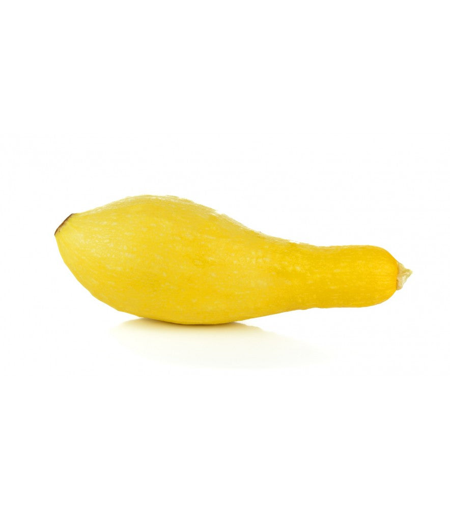 Squash: Success Yellow Squash