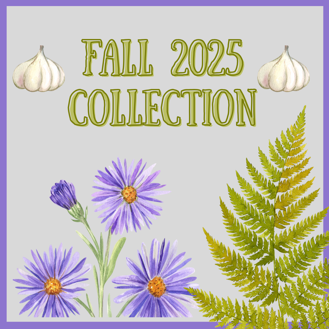 Fall 2025