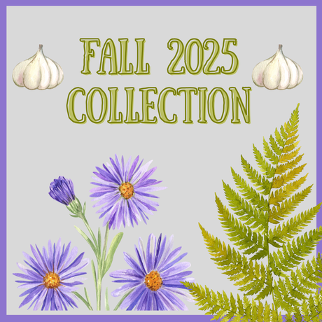 Fall 2025