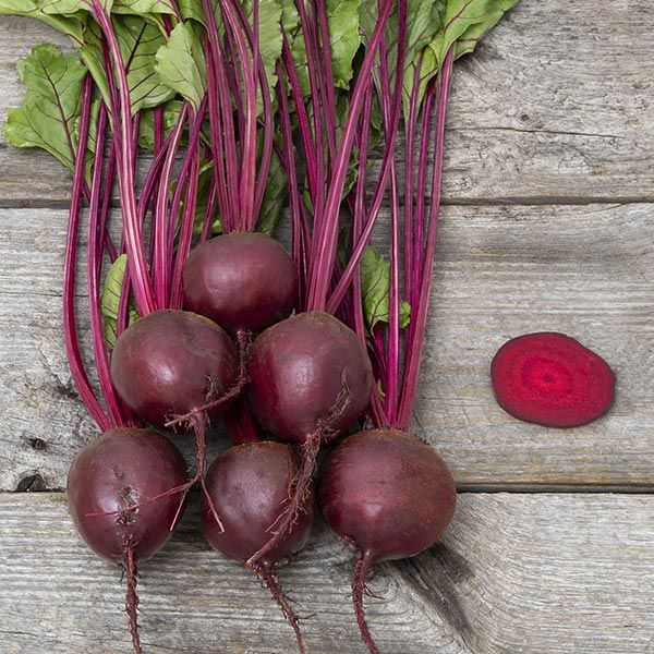 Boro Beet Seeds - NEW!