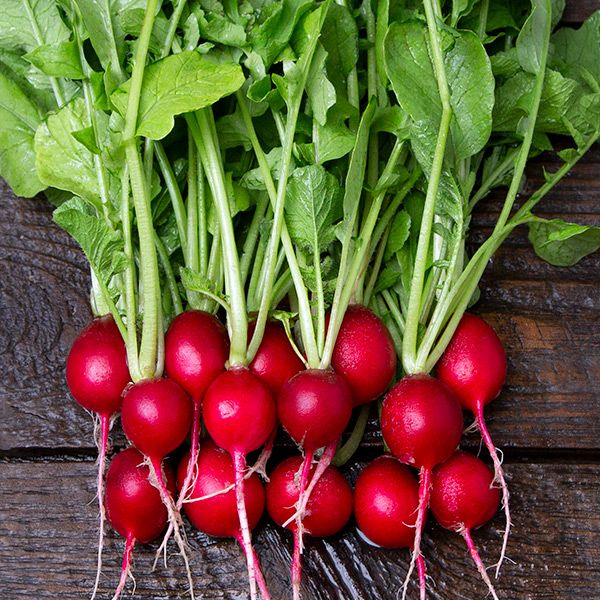 Cherry Belle Radish Seeds - NEW!