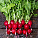 Cherry Belle Radish Seeds - NEW!