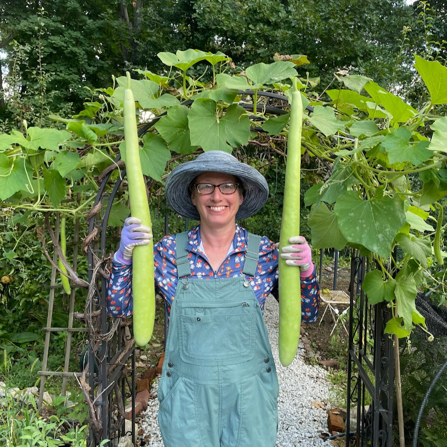 Gourd: Cucuzzi