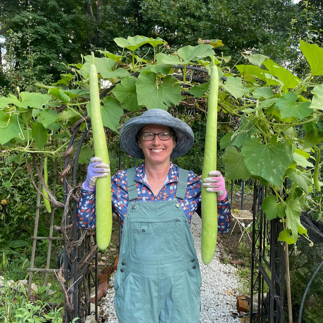 Gourd: Cucuzzi