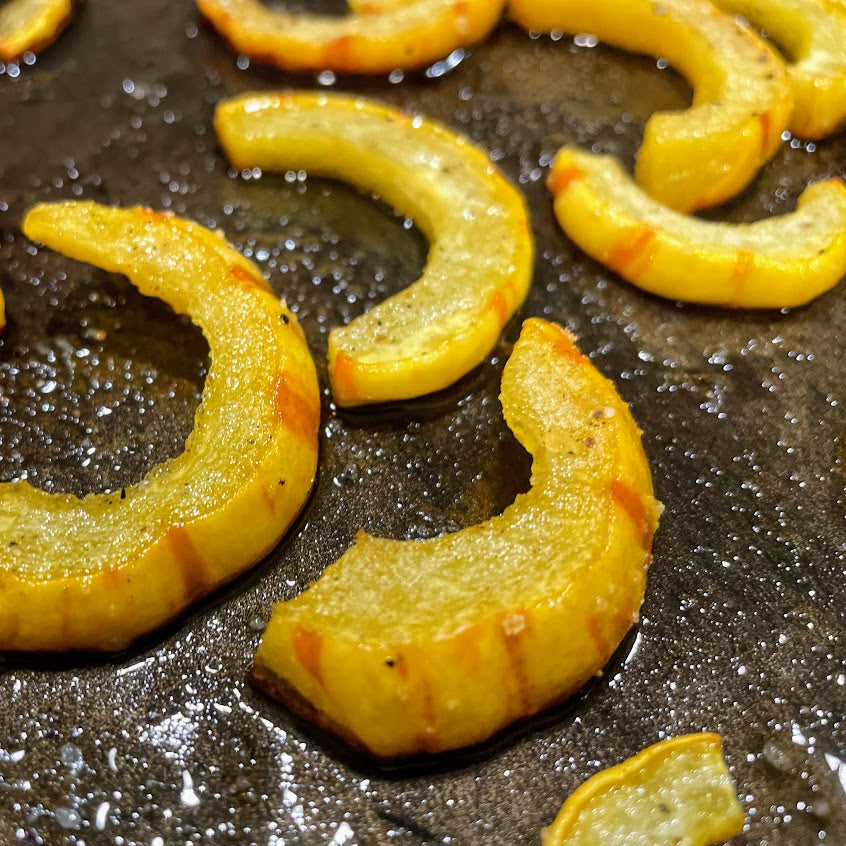 Squash: Bush Delicata
