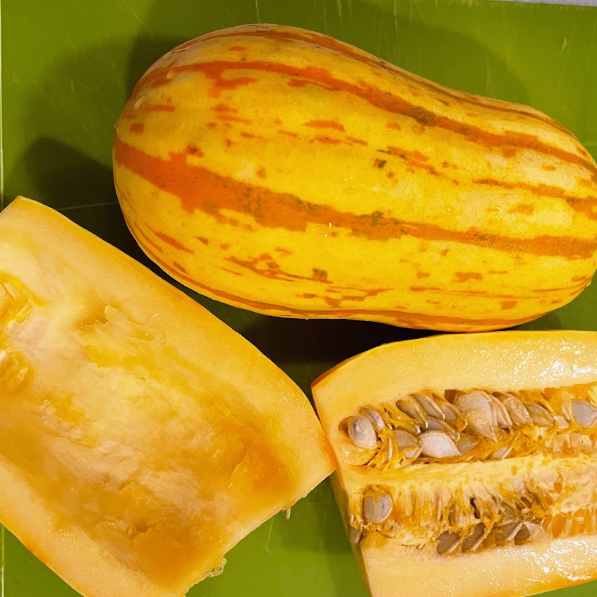 Squash: Bush Delicata