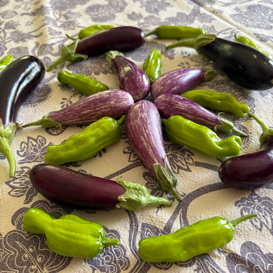 Eggplant: Mystery
