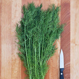 Greensleeves Dill Seeds - NEW!