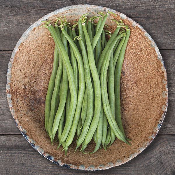 Jade Green Bean Seeds - NEW!