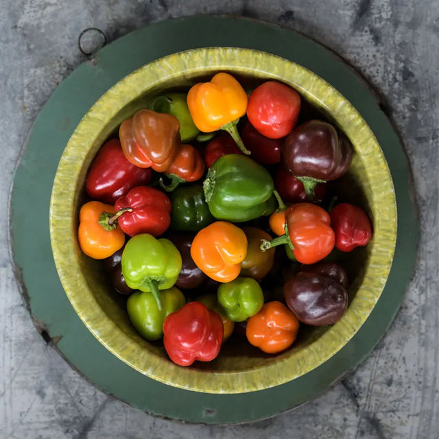 Sweet Pepper: Mini Bell Mix