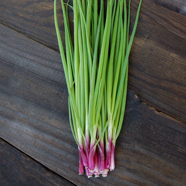 Scallion: Purple