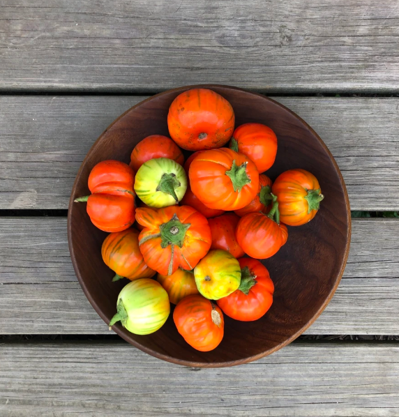 Eggplant: Rosso di Napoli  - NEW!