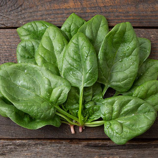 Spinach: Space