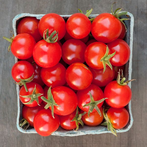 Tomato: Sweetie Red Cherry