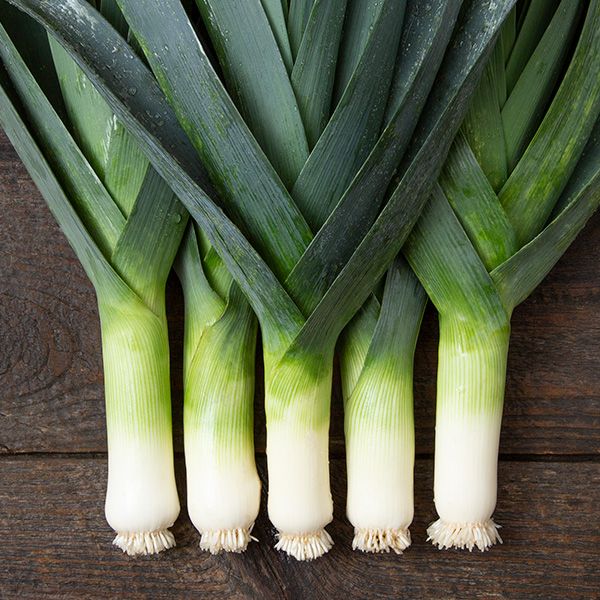 Leek: Tadorna