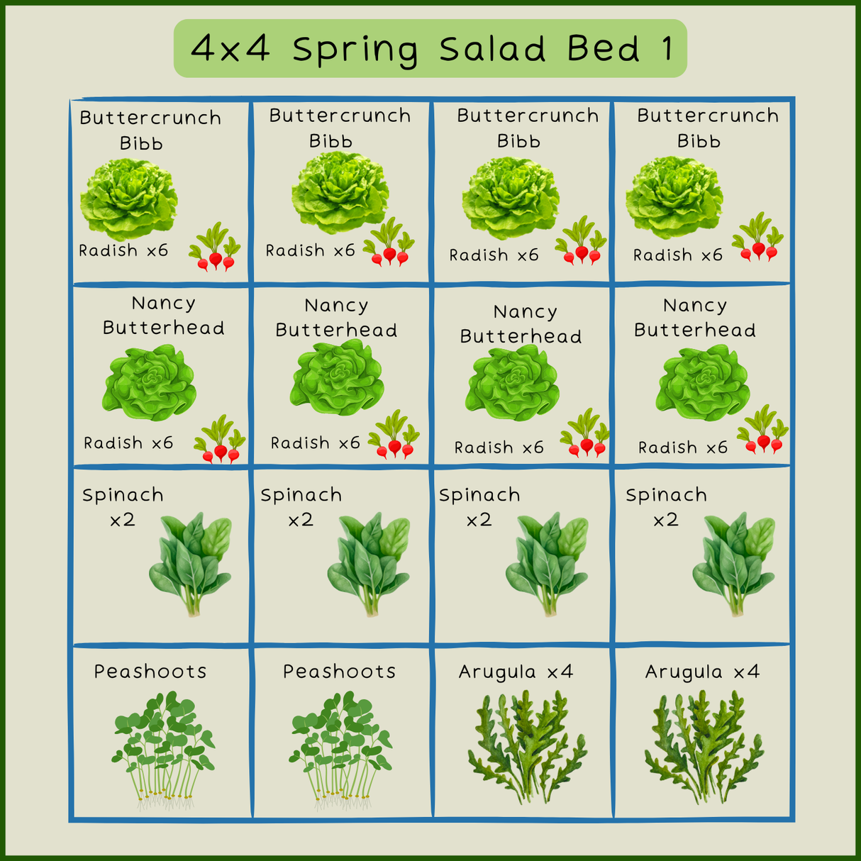 Planting Map for 4 x4 Spring Salad Bed 1