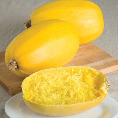 Squash: Spaghetti