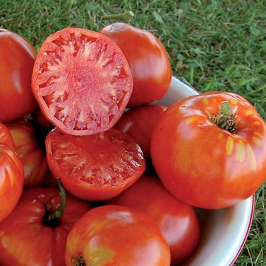 Organic Rainbow Slicer Tomato Collection