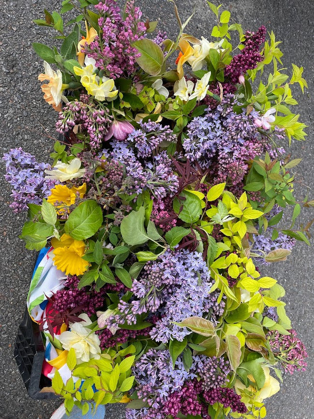 Flower Bouquets-