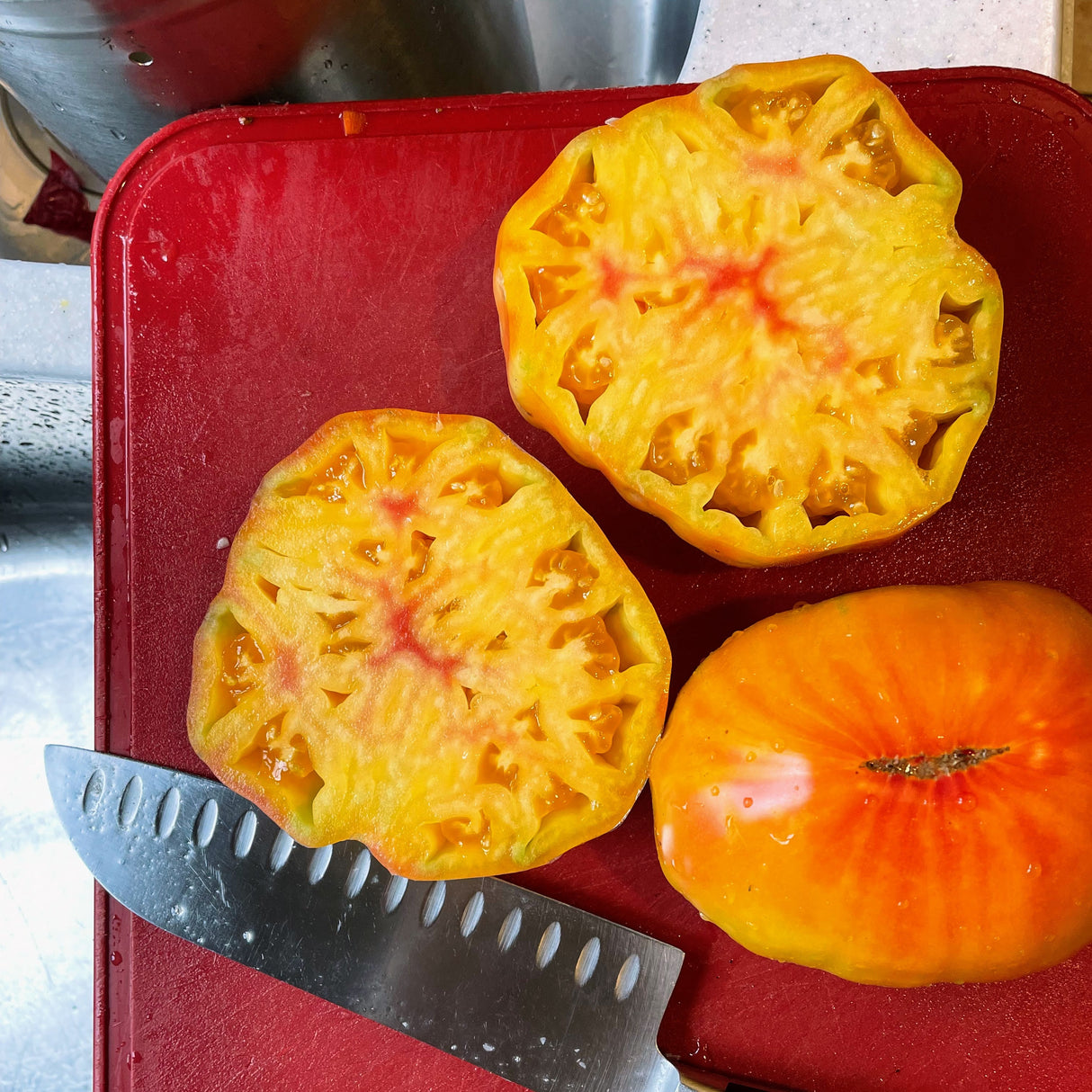 Tomato: Striped German