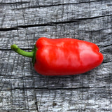 Sweet Pepper: Picnic Red