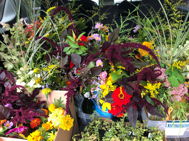 Flower Bouquets-