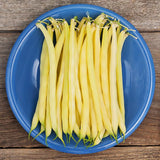 Bush Bean Variety 4-pack