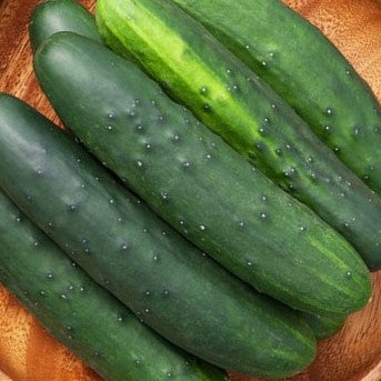 Cucumber: Marketmore Slicing