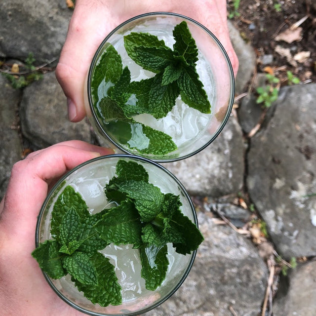 Mint: Mojito