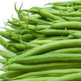 Bush Bean Variety 4-pack