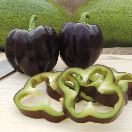 Sweet Pepper: Purple Beauty