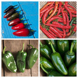 Hot Pepper Variety 4-pack